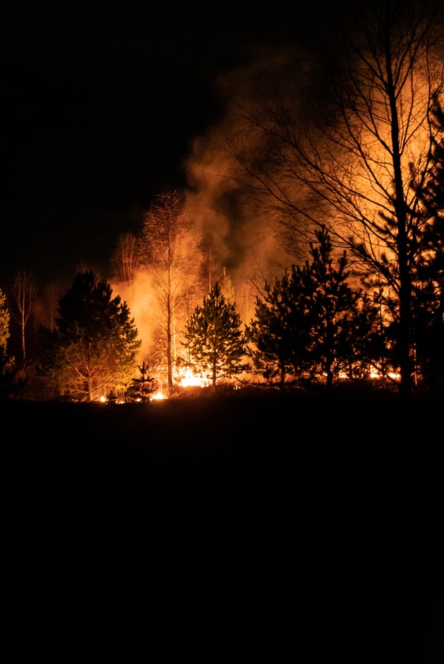 Wildfires Causing Property Insurance Costs to Skyrocket